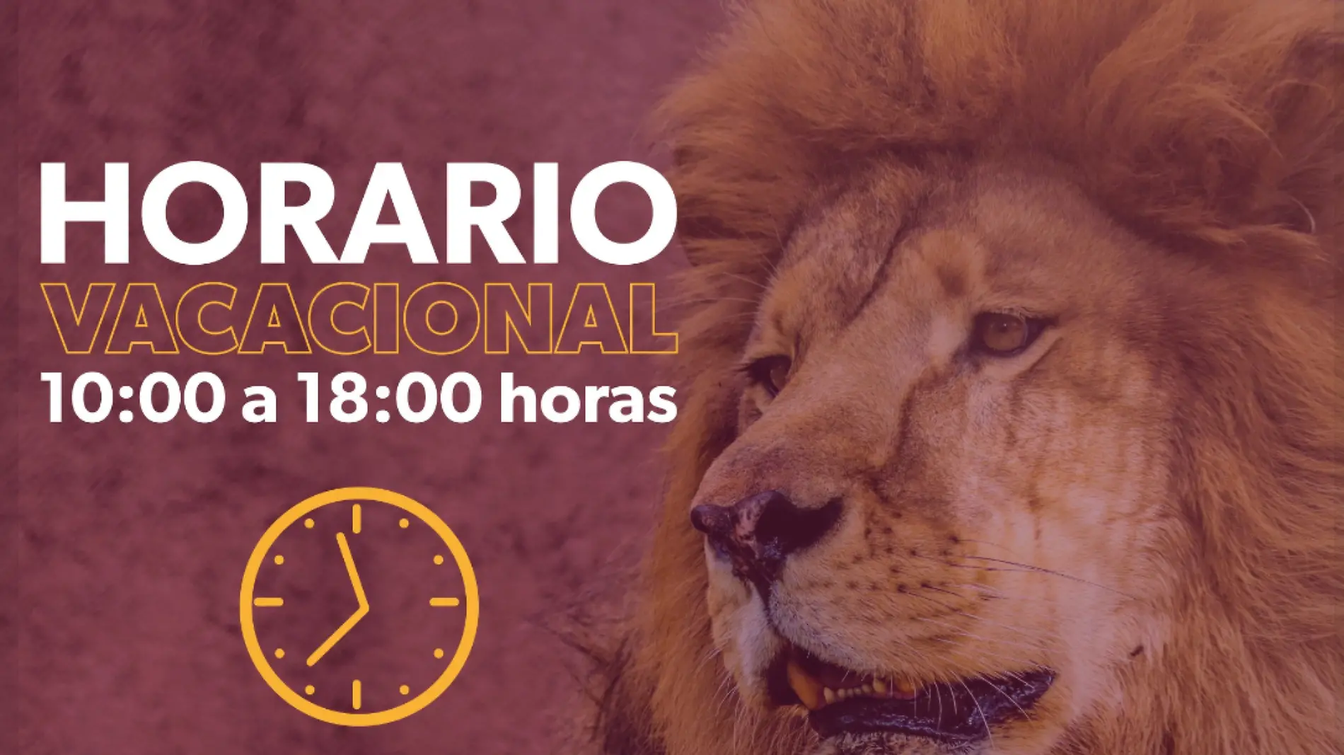 Horario de vacaciones